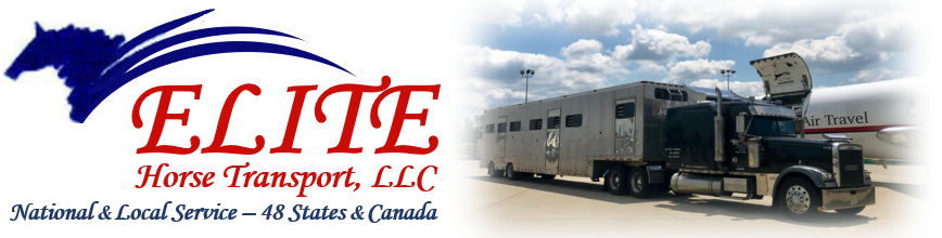 Elite Horse Transport